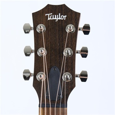 TAYLOR GT Urban Ash/Spruce テイラー 画像3