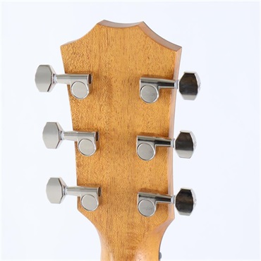 TAYLOR GT Urban Ash/Spruce テイラー 画像6