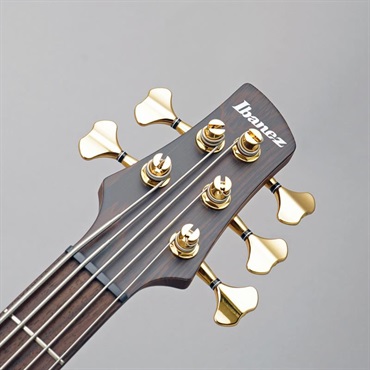 Ibanez Prestige SR5505-MHF 【夏のボーナスセール】 画像6