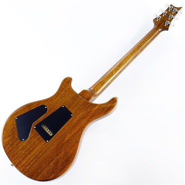 P.R.S. Custom 24 10 Top (Black Gold) SN.0407796 画像2