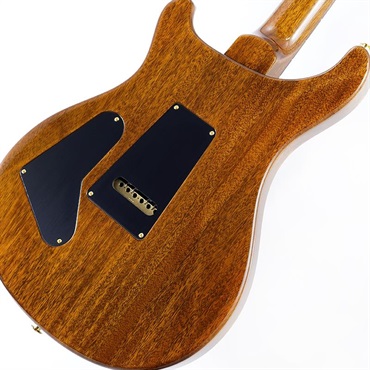P.R.S. Custom 24 10 Top (Black Gold) SN.0407796 画像7
