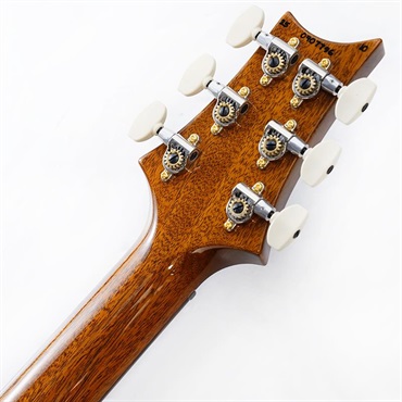 P.R.S. Custom 24 10 Top (Black Gold) SN.0407796 画像9