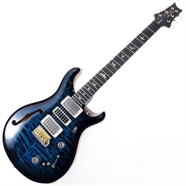 P.R.S. Ikebe 50th Anniversary Wood Library Special Semi-Hollow (Custom Color) SN.0401655 画像1
