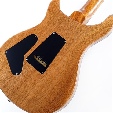 P.R.S. 40th Anniversary Custom 24 Limited Edition (Custom Color) SN.0402673 2025年生産品 画像7
