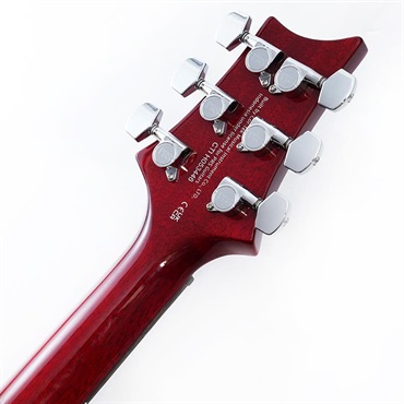 P.R.S. SE DGT Standard (Vintage Cherry) SN.CTIH053446 【2025年生産品】 画像9