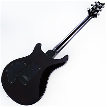 P.R.S. SE DGT Standard (McCarty Tobacco Sunburst) SN.CTIH051511 【2025年生産品】 画像2