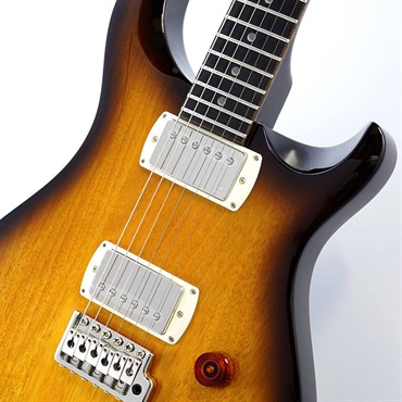 P.R.S. SE DGT Standard (McCarty Tobacco Sunburst) SN.CTIH051511 【2025年生産品】 画像3