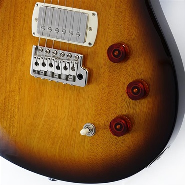 P.R.S. SE DGT Standard (McCarty Tobacco Sunburst) SN.CTIH051511 【2025年生産品】 画像4