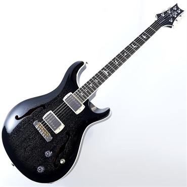 P.R.S. SE Hollowbody Standard (Dog Hair Smokeburst) SN.CTCI04016 画像1