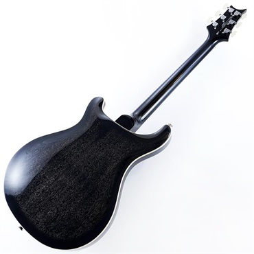 P.R.S. SE Hollowbody Standard (Dog Hair Smokeburst) SN.CTCI04016 画像2