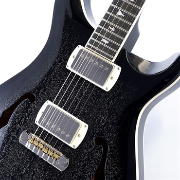 P.R.S. SE Hollowbody Standard (Dog Hair Smokeburst) SN.CTCI04016 画像3