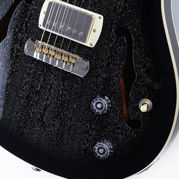 P.R.S. SE Hollowbody Standard (Dog Hair Smokeburst) SN.CTCI04016 画像4