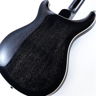 P.R.S. SE Hollowbody Standard (Dog Hair Smokeburst) SN.CTCI04016 画像7