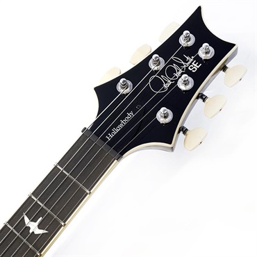 P.R.S. SE Hollowbody Standard (Dog Hair Smokeburst) SN.CTCI04016 画像8