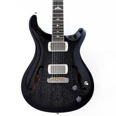 P.R.S. SE Hollowbody Standard (Dog Hair Smokeburst) SN.CTCI04016 画像10