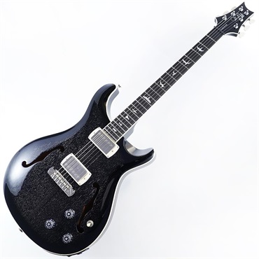 P.R.S. SE Hollowbody Standard Piezo (Dog Hair Smokeburst)　SN.CTCI04007 画像1