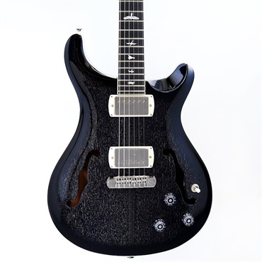 P.R.S. SE Hollowbody Standard Piezo (Dog Hair Smokeburst)　SN.CTCI04007 画像10