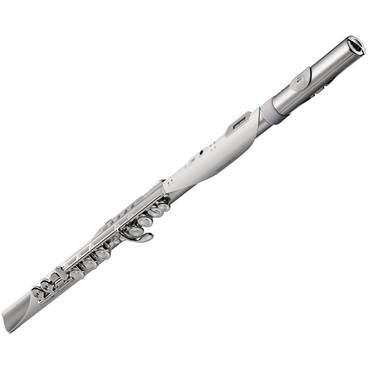 Roland ローランド / Aerophone Brisa デジタル管楽器 AE-BRISA エアロフォン・ブリサ 画像1