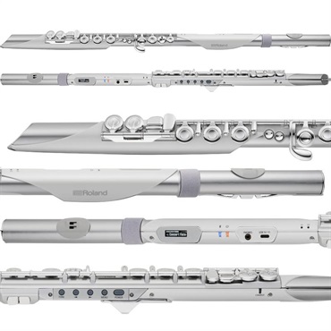 Roland ローランド / Aerophone Brisa デジタル管楽器 AE-BRISA エアロフォン・ブリサ 画像2