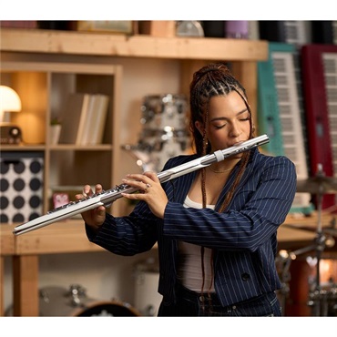 Roland ローランド / Aerophone Brisa デジタル管楽器 AE-BRISA エアロフォン・ブリサ 画像8