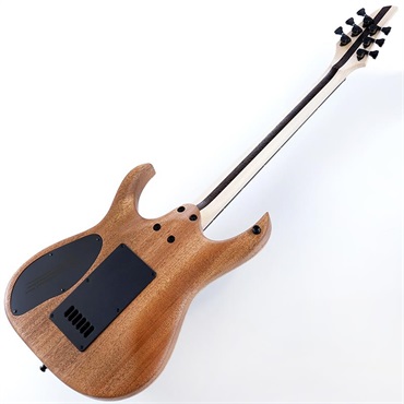 MAYONES Duvell Elite 4Ever 6 (Trans Natural Fade Black Burst Out Gloss) [SPOT生産品] 画像2