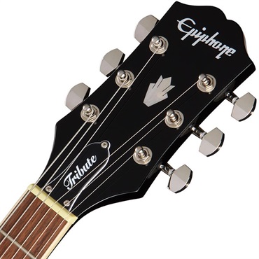 Epiphone SG Tribute Plus (Ebony Burst) 画像4