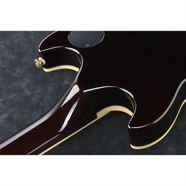Ibanez AR520H-BK 画像7