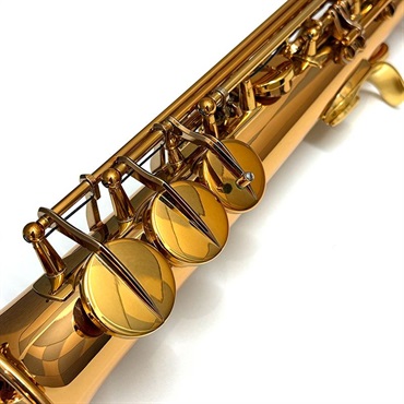 Wood Stone USED 中古 ソプラニーノサックス ウッドストーン WSSN-GL S/N 00xx 【調整&セットアップ後出荷】【5年間キーバランス調整無料】【夏先取り大特価セール】 画像5