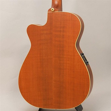 MATON EBG808PF LTD Orange Mouse 【10本限定モデル】 メイトン 画像1