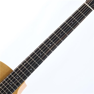 TAYLOR 14ce テイラー 画像2