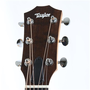 TAYLOR 14ce テイラー 画像3
