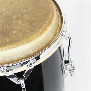 LP USED 中古 LP559X-1BK [PATATO Signature Fiberglass Conga ] 画像4