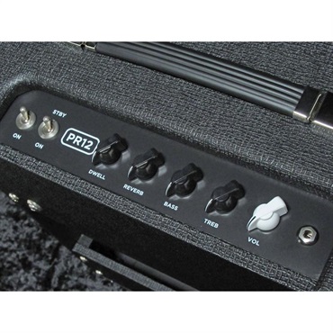 Morgan Amplification 【夏のボーナスセール】PR12Combo [BLACK]（モーガン） 画像3