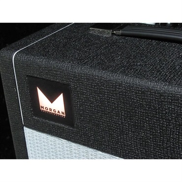 Morgan Amplification 【夏のボーナスセール】PR12Combo [BLACK]（モーガン） 画像5