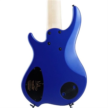 DINGWALL NG-3 6st Adam Nolly Getgood Signature Model (Blueberry) 画像4