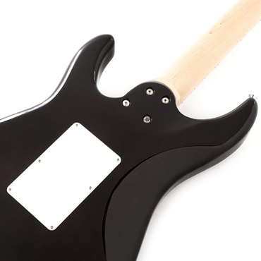 SCHECTER SD-2-24-AL (See-thru Red/Maple) 画像5