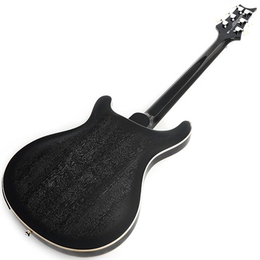 P.R.S. SE Hollowbody Standard Piezo (Dog Hair Smokeburst) 画像2