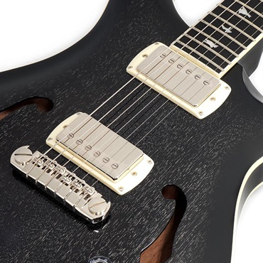 P.R.S. SE Hollowbody Standard Piezo (Dog Hair Smokeburst) 画像3