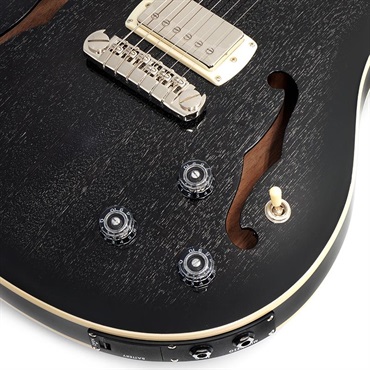 P.R.S. SE Hollowbody Standard Piezo (Dog Hair Smokeburst) 画像4