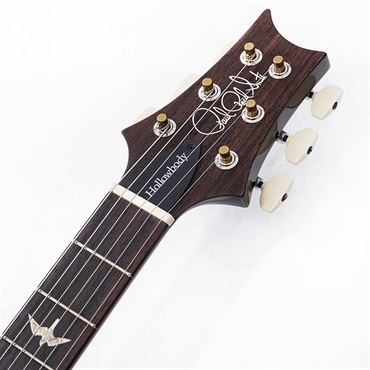 P.R.S. Hollowbody II Piezo (Custom Color) SN.0406714 画像8