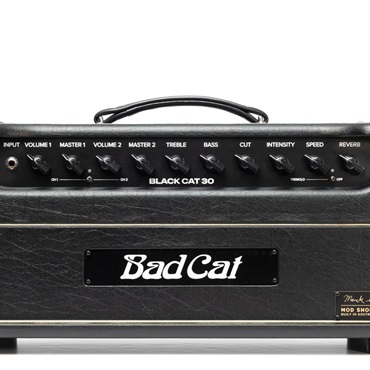 Bad Cat Mod Shop Black Cat 30 Head（バッドキャット） 【数量限定「真っ黒」Tシャツプレゼント！】 画像4