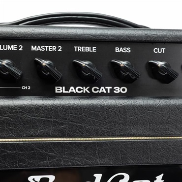 Bad Cat Mod Shop Black Cat 30 Head（バッドキャット） 【数量限定「真っ黒」Tシャツプレゼント！】 画像6