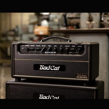 Bad Cat Mod Shop Black Cat 30 Head（バッドキャット） 【数量限定「真っ黒」Tシャツプレゼント！】 画像8