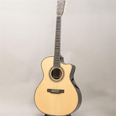FONZO GUITARS V-34S GAVC 画像2