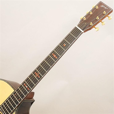 FONZO GUITARS V-34S GAVC 画像8