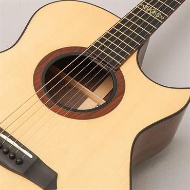FONZO GUITARS V-301S SJFC 画像6