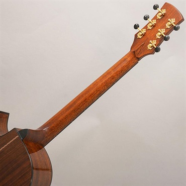 FONZO GUITARS V-301S SJFC 画像9
