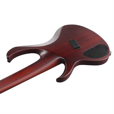 Ibanez Bass Workshop BTB705LM-NNF [SPOT MODEL] 【特価】 【夏先取り大特価セール】 画像3