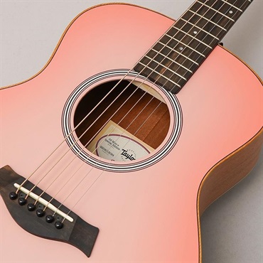 TAYLOR 【夏先取り大特価セール】 【チョイ傷特価】GS Mini-e Special Edition (Sakuraburst) テイラー 画像6