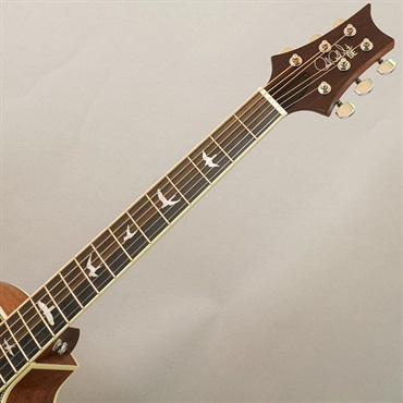 P.R.S. 【夏のボーナスセール】USED 中古 SE Angelus A20E (Black Top) ポールリードスミス 画像8
